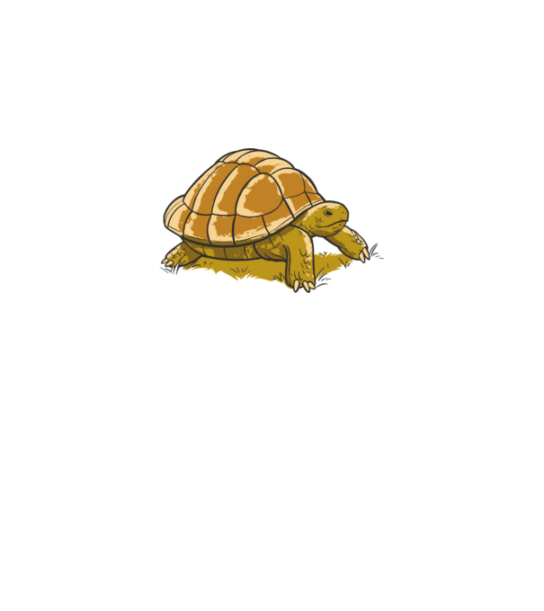  minta szürke pólón