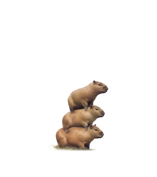  minta királykék pólón