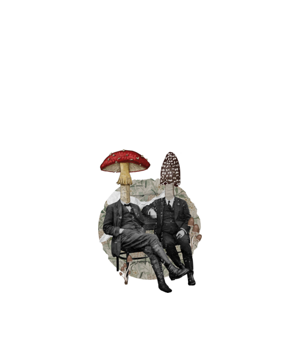  minta királykék pólón