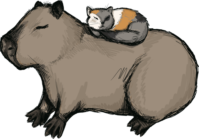Capybara