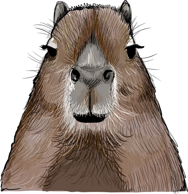 Capybara