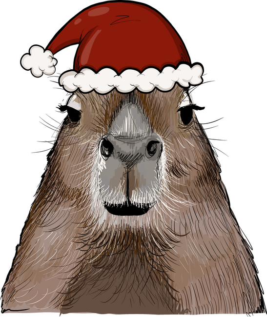 Mikulás Capybara