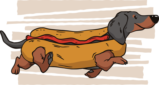 Hotdog tacskó