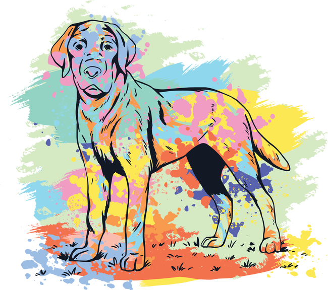 Labrador