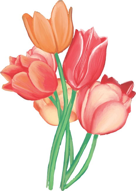 Tulipánok