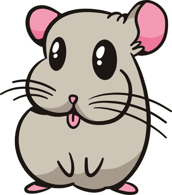 Csincsilla
