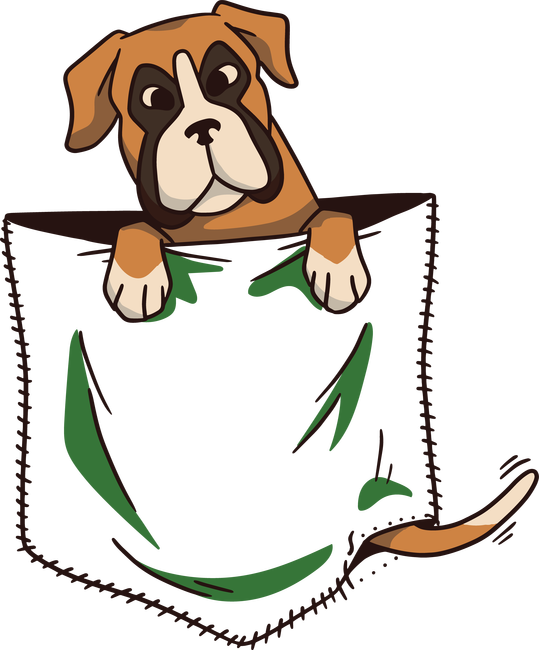 Boxer kutya