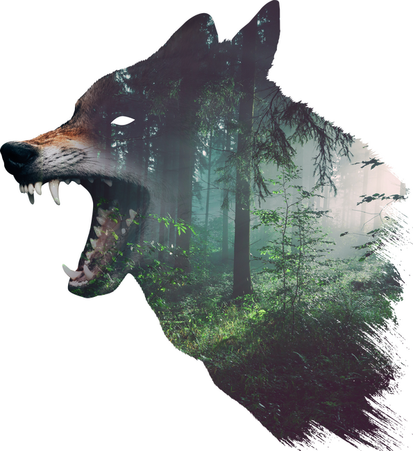 Farkas