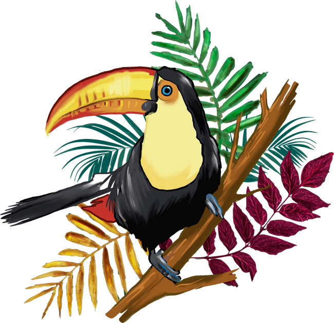 Tukán