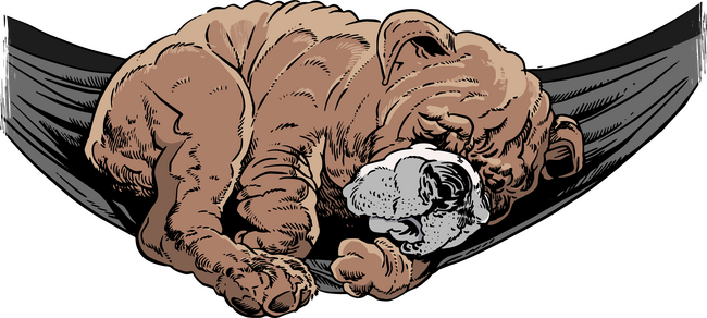 Alvó bulldog