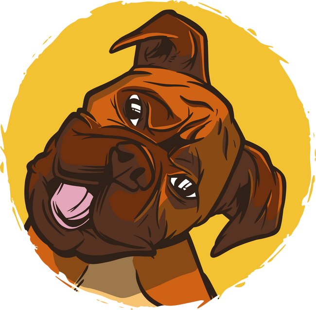 Boxer kutya