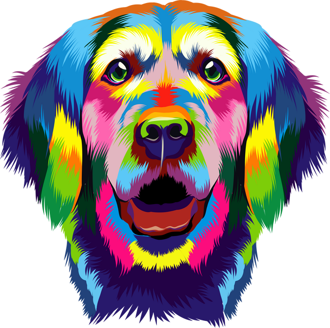 Színes golden retriever