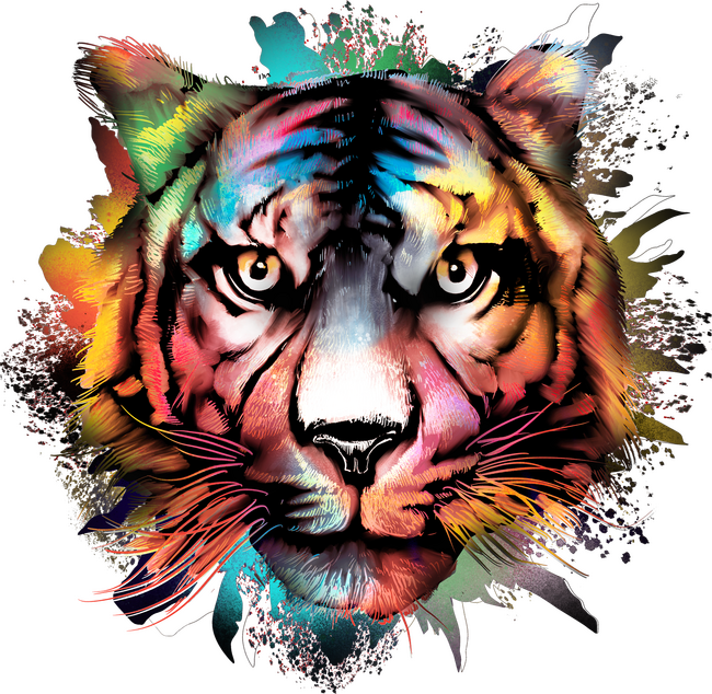 Színes tigris