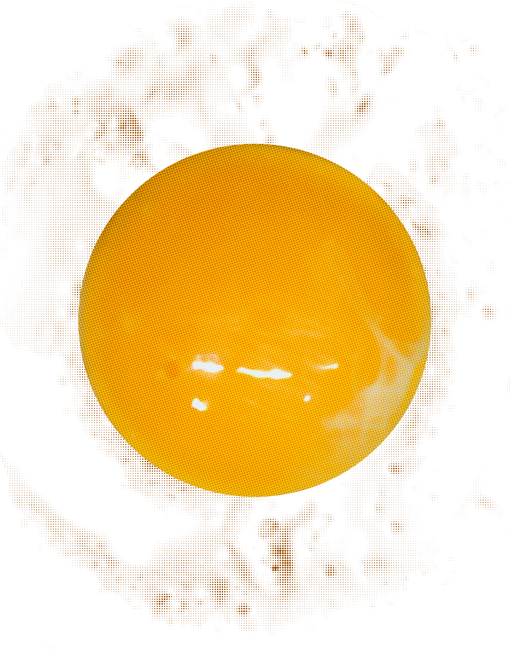 Tojás