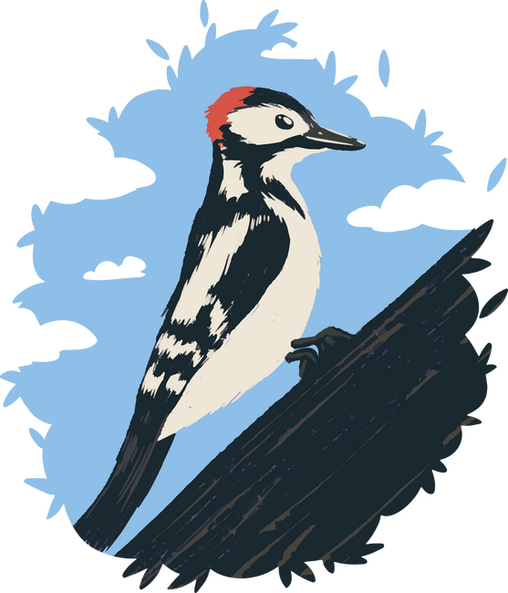 Harkály