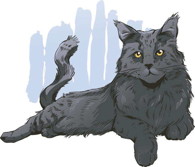 Maine Coon