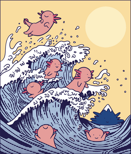 Axolotl hullám