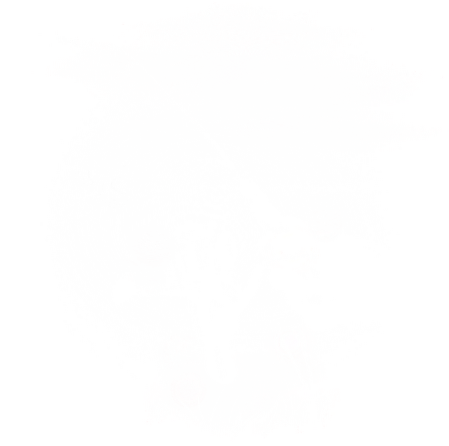 Horgászbot