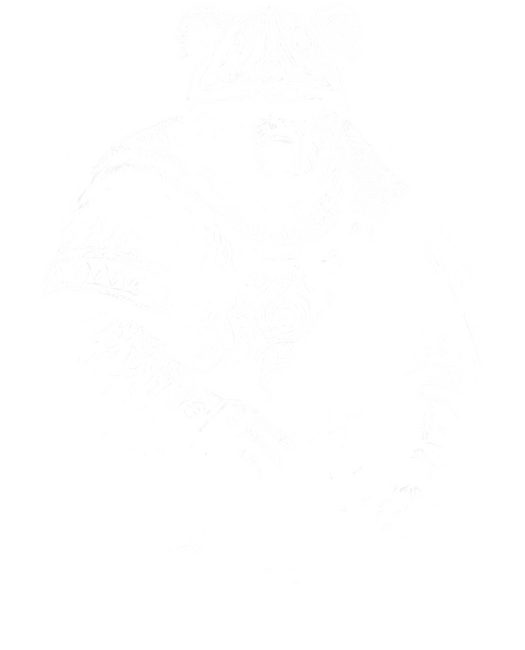 Viking maci