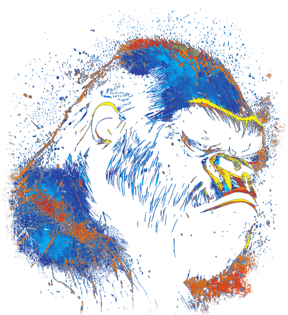 Színes gorilla