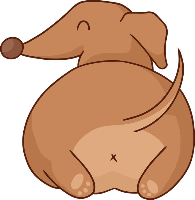 Tacskó
