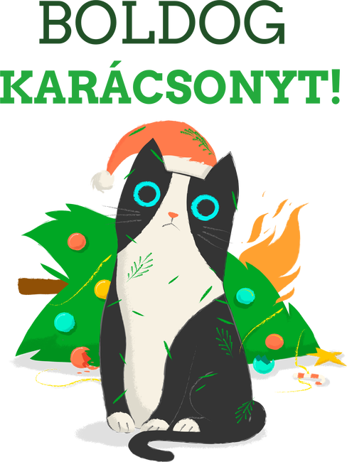Boldog Karácsonyt!