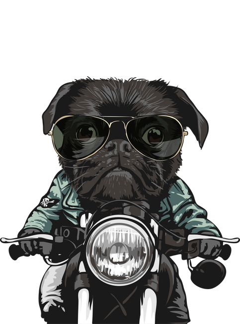 Motoros mopsz