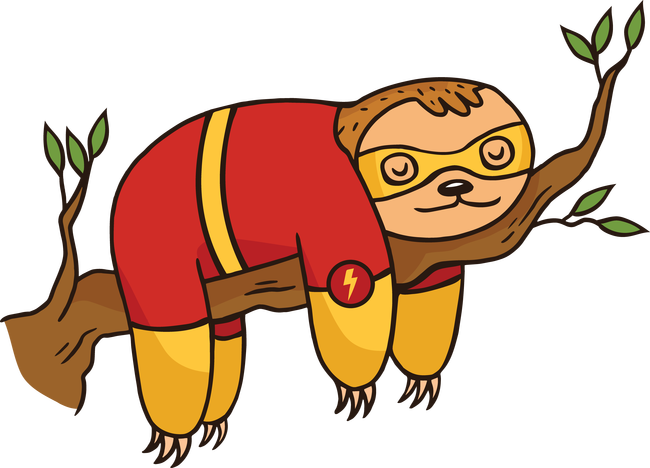 Flash lajhár