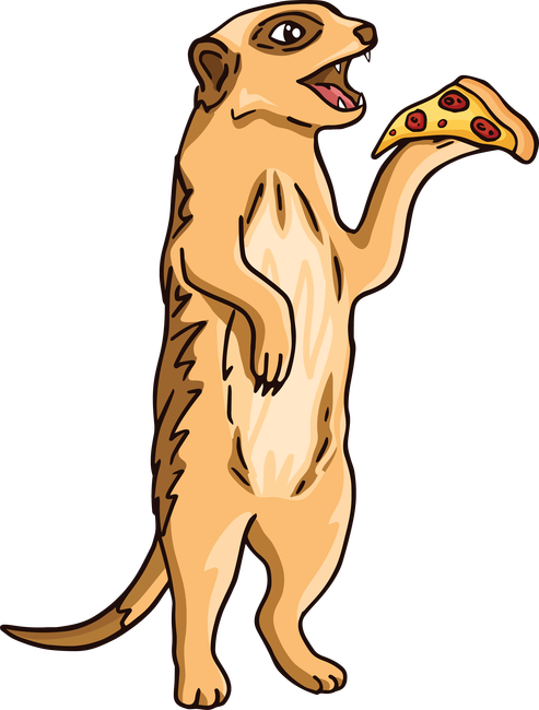 Szurikáta pizzával