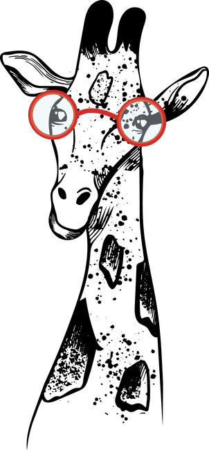 Zsiráf