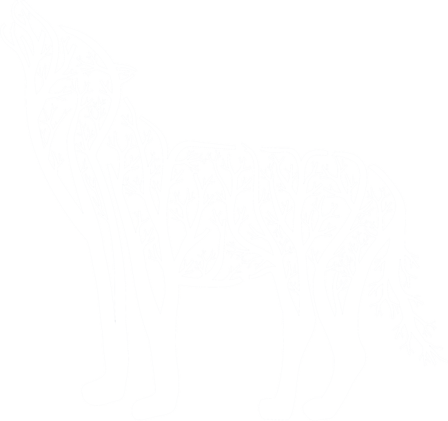Farkas