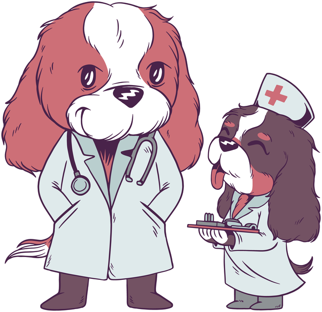 Kutya doki