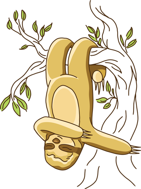 Lajhár dab