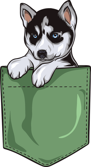 Husky zsebminta