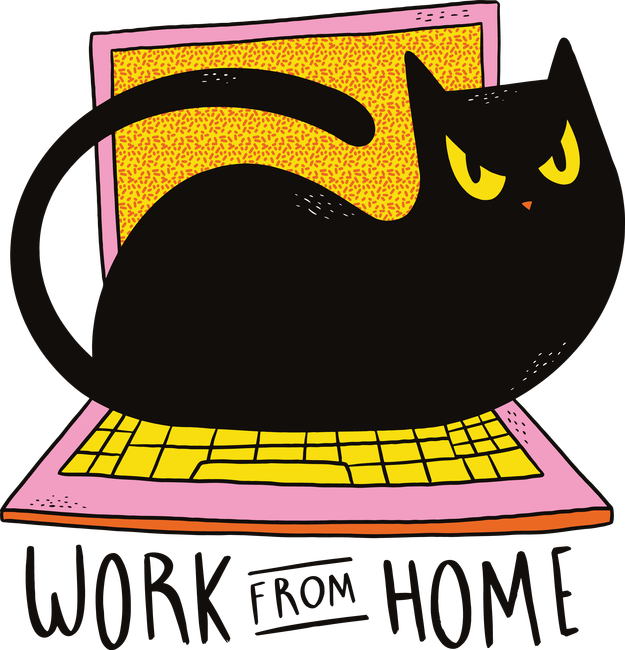 Home office macskával