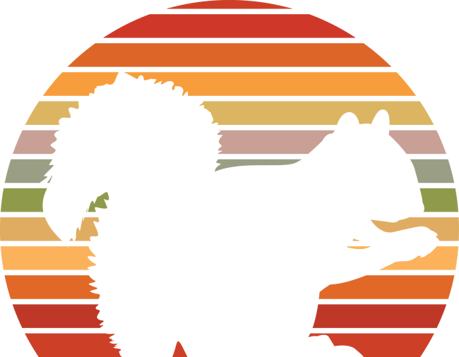 Mókus