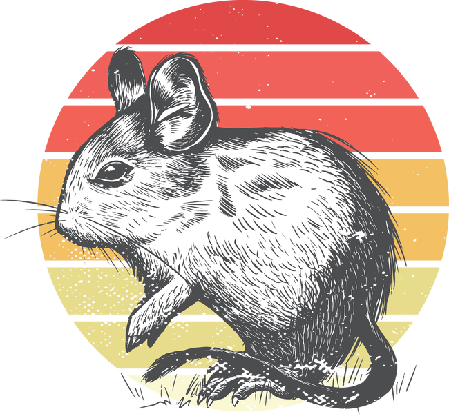Degu