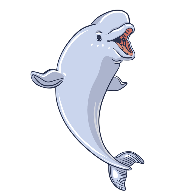 Beluga