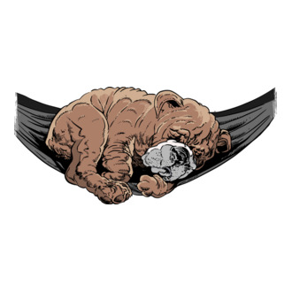 Alvó bulldog