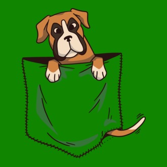 Boxer kutya