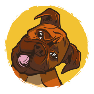 Boxer kutya