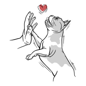 Bulldog gazdi