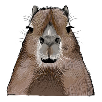 Capybara