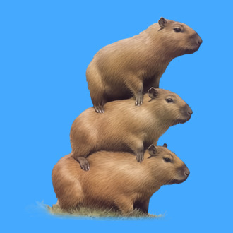 Capybara kupac