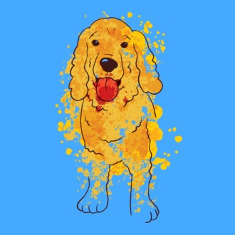 Cocker Spániel