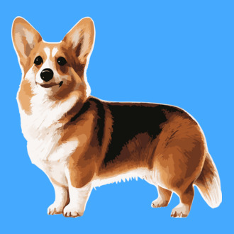 Corgi
