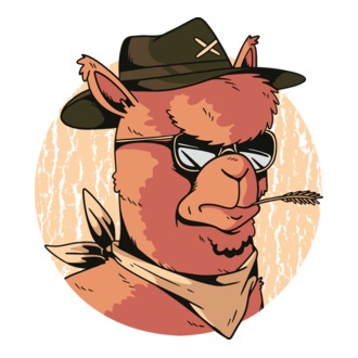 Cowboy alpaka