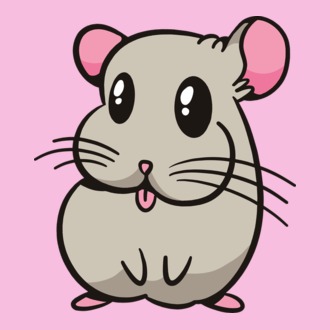 Csincsilla