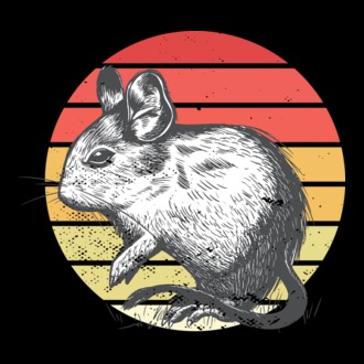 Degu