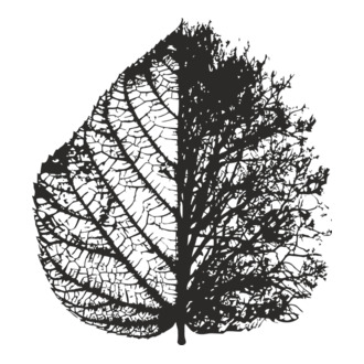 Falevél